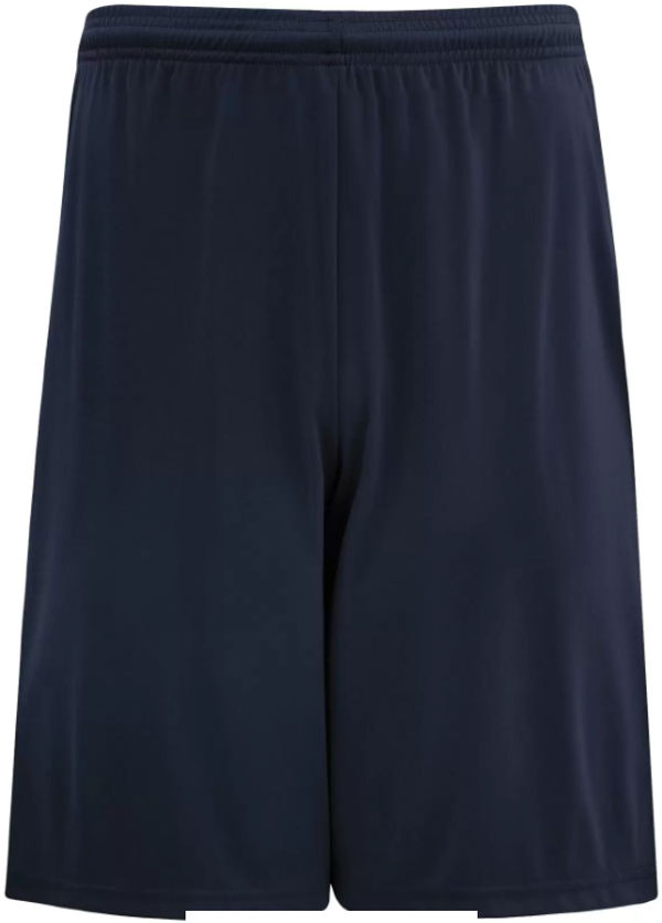 An image of a Custom Authentic Pro Team Shorts in True Navy!