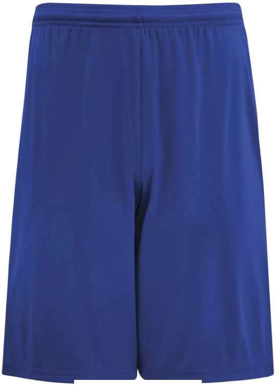 Authentic Pro Team Shorts in True Royal
