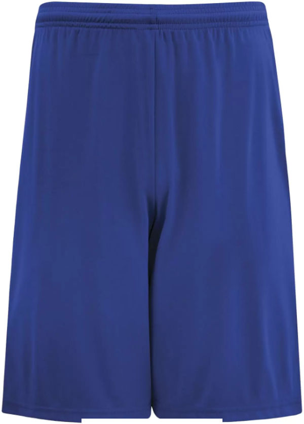 An image of a Custom Authentic Pro Team Shorts in True Royal!