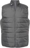 Am image of a Custom Adidas Puffer Vest in Grey Five!