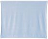 Am image of a Custom Alpine Fleece Mink Touch Luxury Baby Blanket in Baby Blue!