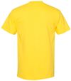 Am image of a Custom American Apparel Heavyweight Cotton Unisex Tshirt in Yellow!