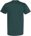 An image of a Custom American Apparel Fine Jersey Short Sleeve Tee in Forest!