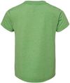 Am image of a Custom Bella and Canvas Toddler Triblend Tee in Green Triblend!