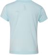 Am image of a Custom Bella and Canvas Toddler Triblend Tee in Ice Blue Triblend!