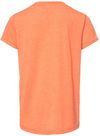Am image of a Custom Bella and Canvas Youth Triblend Tee in Orange Triblend!