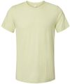 An image of a Custom Bella and Canvas Unisex Triblend Tee in Spring Green Triblend!