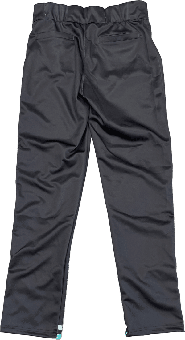 Am image of a Custom Sublimated Baseball Pants in Essential!