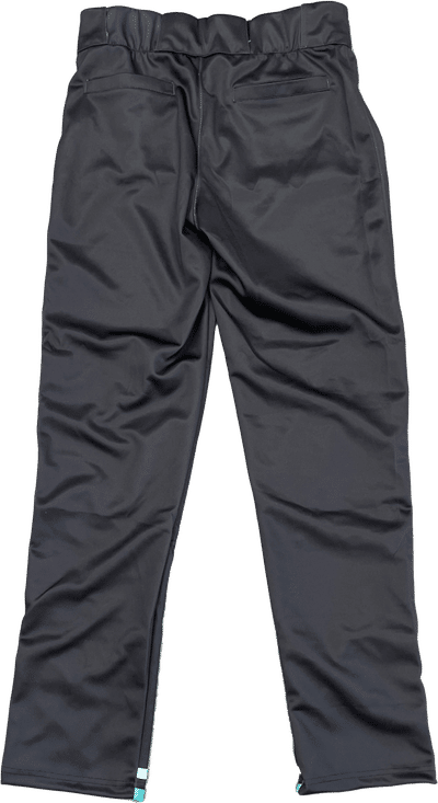 Am image of a Custom Sublimated Baseball Pants in Essential!