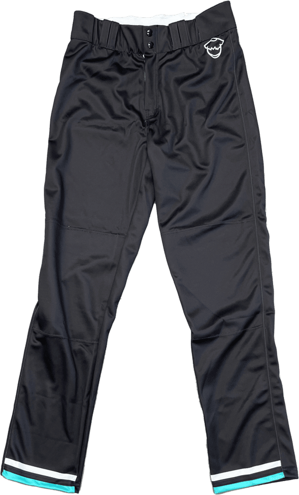 Am image of a Custom Youth Sublimated Baseball Pants in Essential!