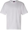 Am image of a Custom Champion Heritage Jersey T Shirt in White!