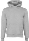 Am image of a Custom Champion Youth Powerblend Pullover Hooded Sweatshirt in Light Steel!
