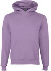 Am image of a Custom Champion Youth Powerblend Pullover Hooded Sweatshirt in Lilac!