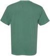 An image of a Custom Comfort Colors Adult Heavyweight RS Pocket T Shirt in Light Green!