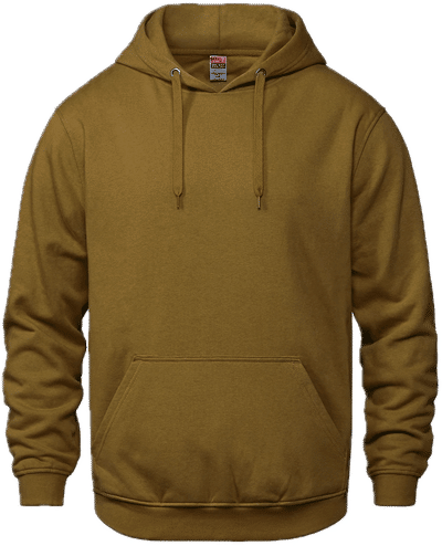 Am image of a Custom CSW Vault Adult Pullover Hoodie in Caramel!
