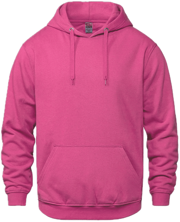 Am image of a Custom CSW Vault Adult Pullover Hoodie in Heliconia!