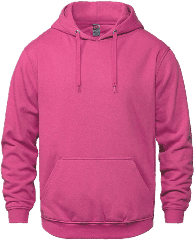 Am image of a Custom CSW Vault Adult Pullover Hoodie in Heliconia!
