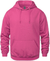 Am image of a Custom CSW Vault Adult Pullover Hoodie in Heliconia!