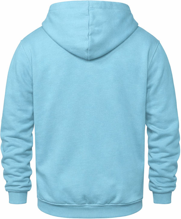 An image of a Custom CSW Vault Adult Pullover Hoodie in Light Blue!