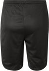 Am image of a Custom Champion Adult Mesh Short with Pockets 9 Inch in Black!