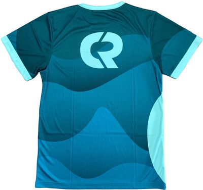 Am image of a Custom Classic Sublimated Short Sleeve Jersey in Essential!