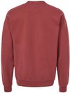 Am image of a Custom Hanes ComfortWash Garment Dyed Unisex Crewneck Sweatshirt in Cayenne!