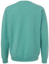 An image of a Custom Hanes ComfortWash Garment Dyed Unisex Crewneck Sweatshirt in Spanish Moss!