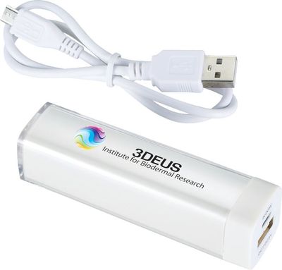 An image of a Custom Flash 2,200 mAh Power Bank!