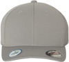 Am image of a Custom Flexfit Adult Cool & Dry Sport Cap in Silver!