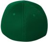 Am image of a Custom Flexfit Adult Ultrafibre and Airmesh Cap in Green!