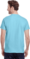 An image of a Custom GILDAN Heavy Cotton TShirt!