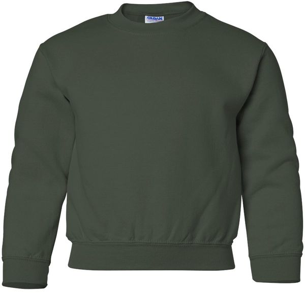 Am image of a Custom Gildan Heavy Blend Youth Sweatshirt in Forest!