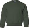 Am image of a Custom Gildan Heavy Blend Youth Sweatshirt in Forest!
