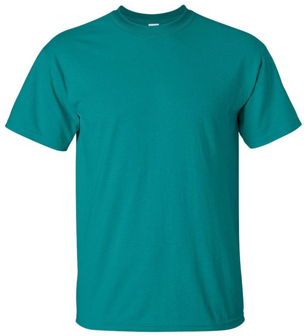 Am image of a Custom Gildan Ultra Cotton T Shirt in Jade Dome!