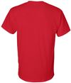 Am image of a Custom GILDAN Dryblend TShirt in Red!