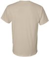 Am image of a Custom GILDAN Dryblend TShirt in Sand!