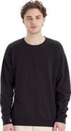 An image of a Custom Hanes ComfortWash Garment Dyed Unisex Crewneck Sweatshirt!