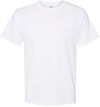 An image of a Custom Hanes Unisex EcoSmart Shirt in White!