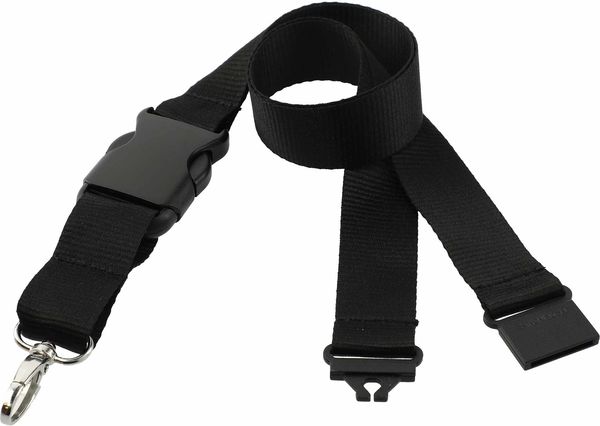 An image of a Custom Hang In There Lanyard!