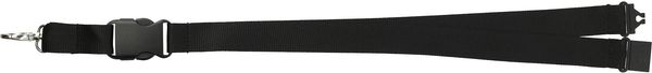 An image of a Custom Hang In There Lanyard!
