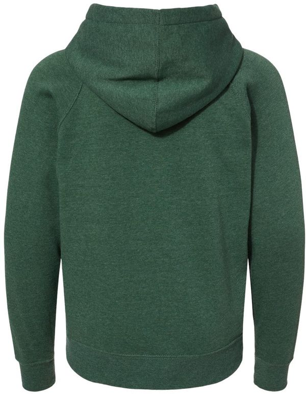 Am image of a Custom Independent Trading Co Youth Special Blend Raglan Hooded Sweatshirt in Moss!