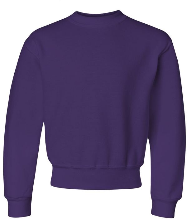 Am image of a Custom JERZEES NuBlend Youth Crewneck Sweatshirt in Deep Purple!