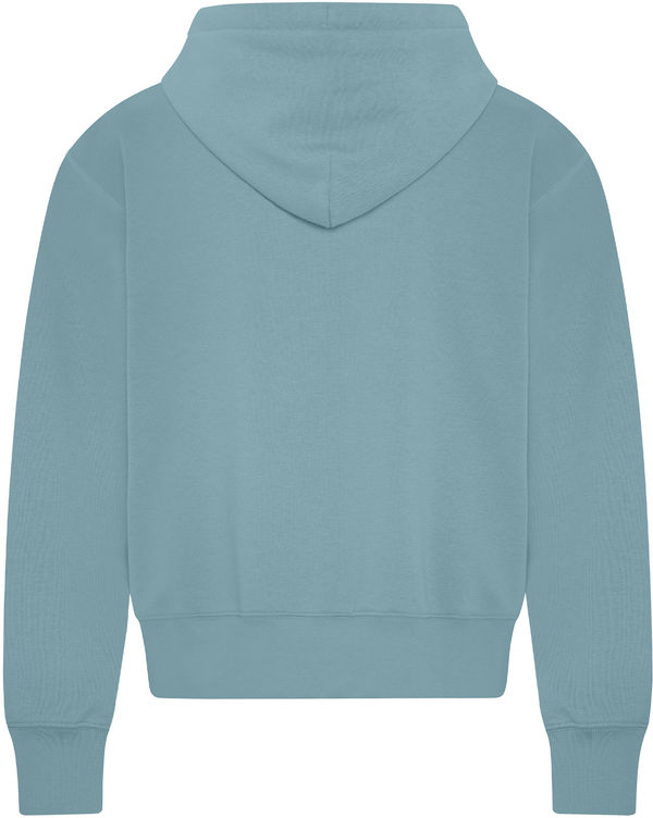 Am image of a Custom Koi Element CFF Pullover Ladies Hoodie in Blue Mist!