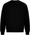 Am image of a Custom Koi Element CVC French Terry Crewneck in Onyx!