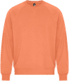 Am image of a Custom Koi Element CVC French Terry Crewneck in Terracotta!