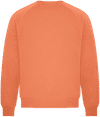 Am image of a Custom Koi Element CVC French Terry Crewneck in Terracotta!