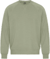 Am image of a Custom Koi Element CVC French Terry Crewneck in Thyme!