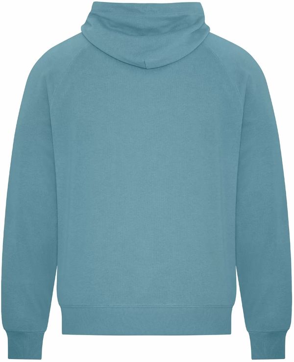 Am image of a Custom Koi Element CVC French Terry Hoodie in Blue Agave!