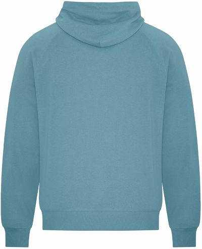 Am image of a Custom Koi Element CVC French Terry Hoodie in Blue Agave!