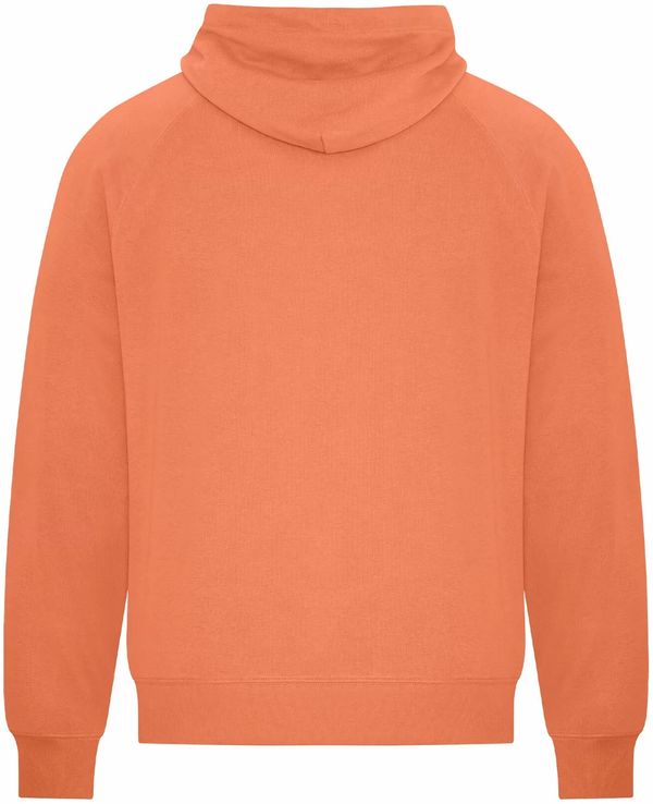 Am image of a Custom Koi Element CVC French Terry Hoodie in Terracotta!